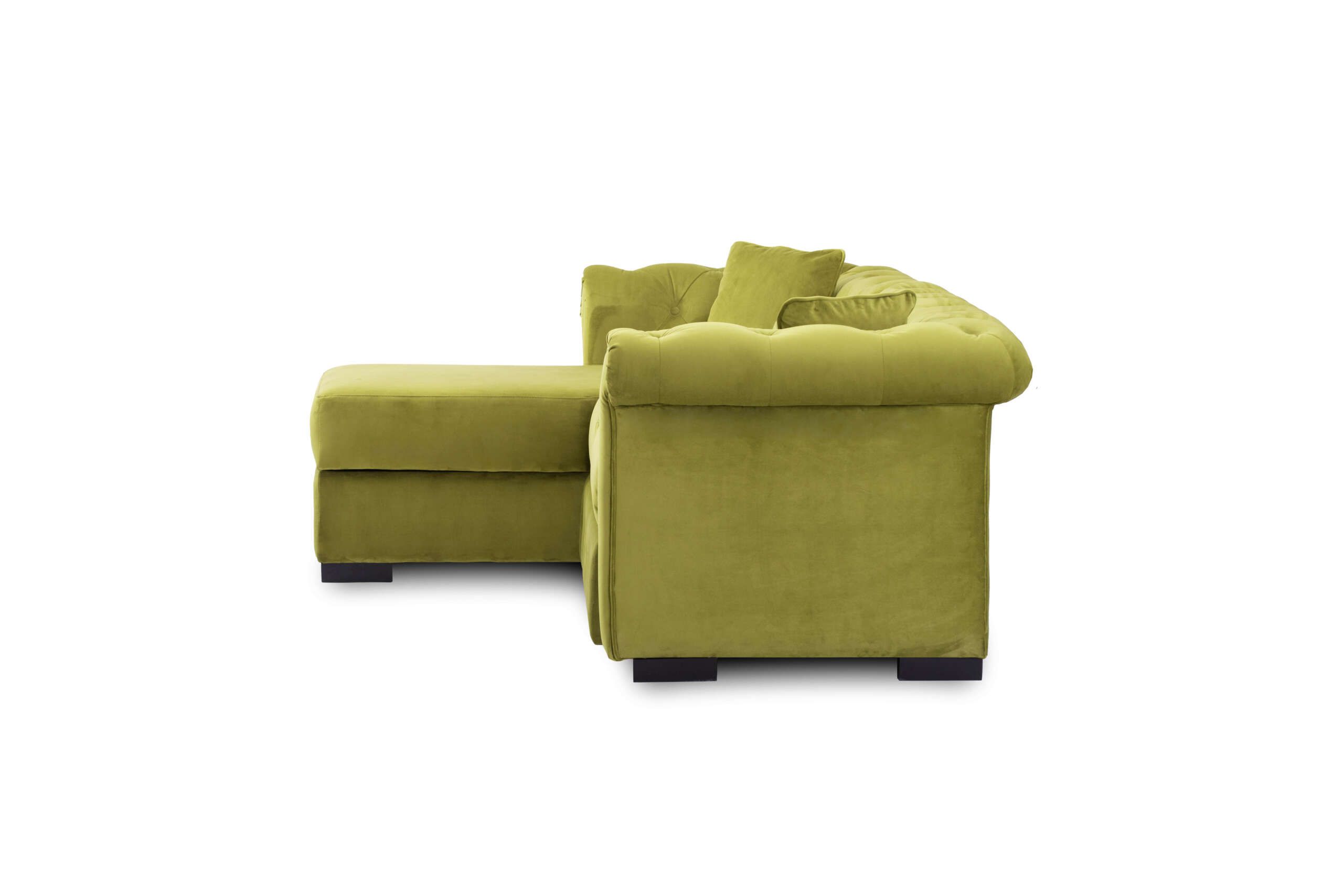 COLTAR_BASEL_LIME_LATERAL