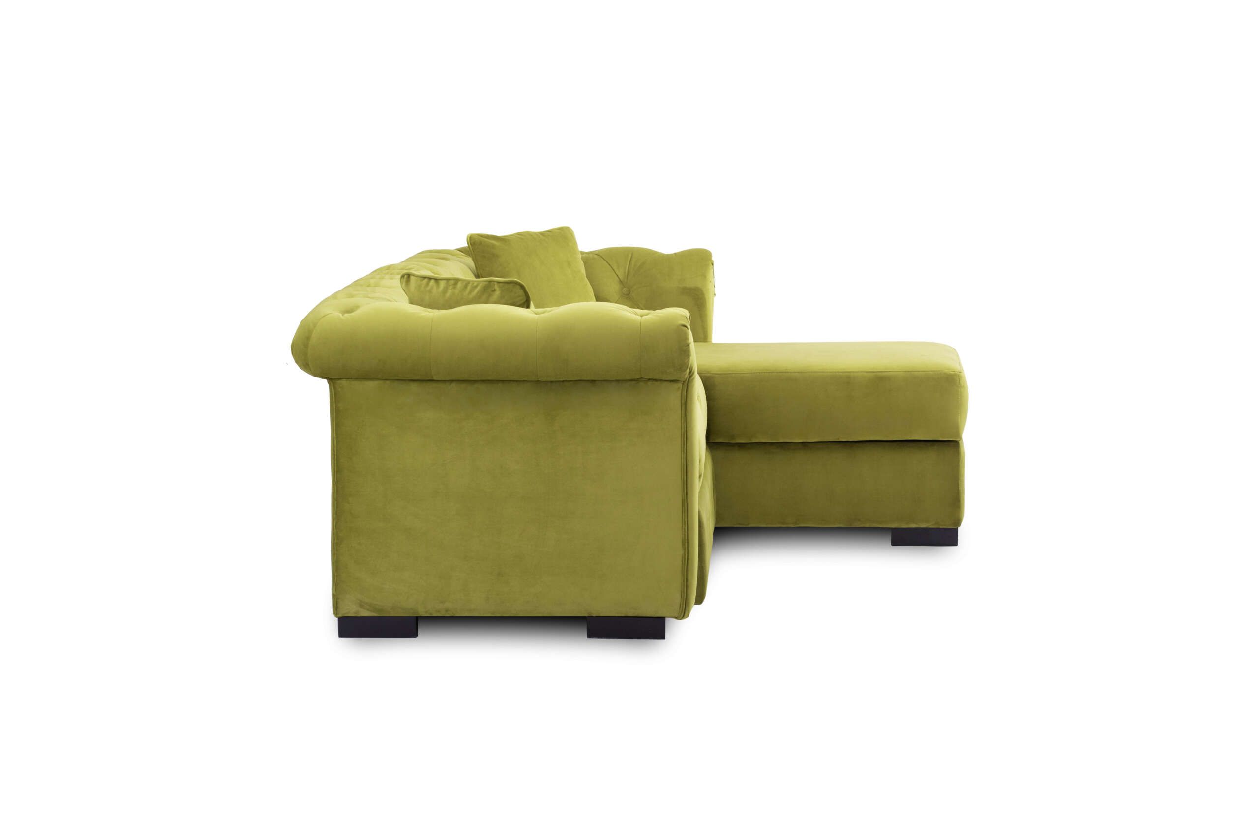 COLTAR_BASEL_LIME_LATERAL DR