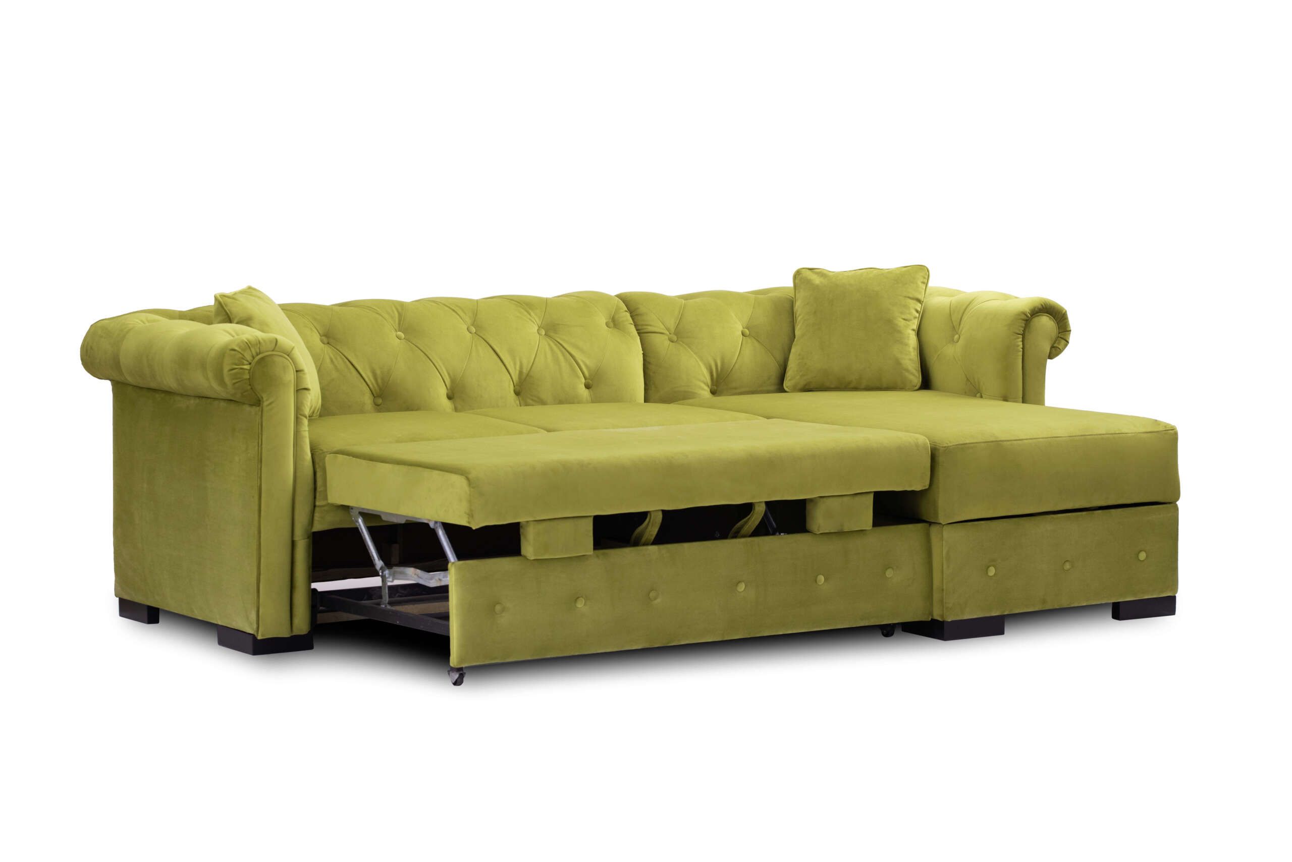 COLTAR_BASEL_LIME_UNGHI_1 DR